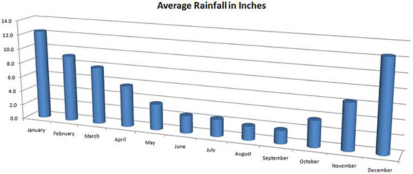 Rain Fall